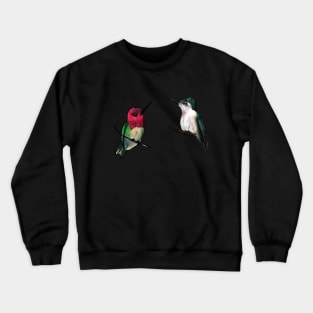 Anna's Hummingbirds Crewneck Sweatshirt